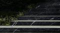 Ступени из мрамора Nero Marquina (Неро Маркина)